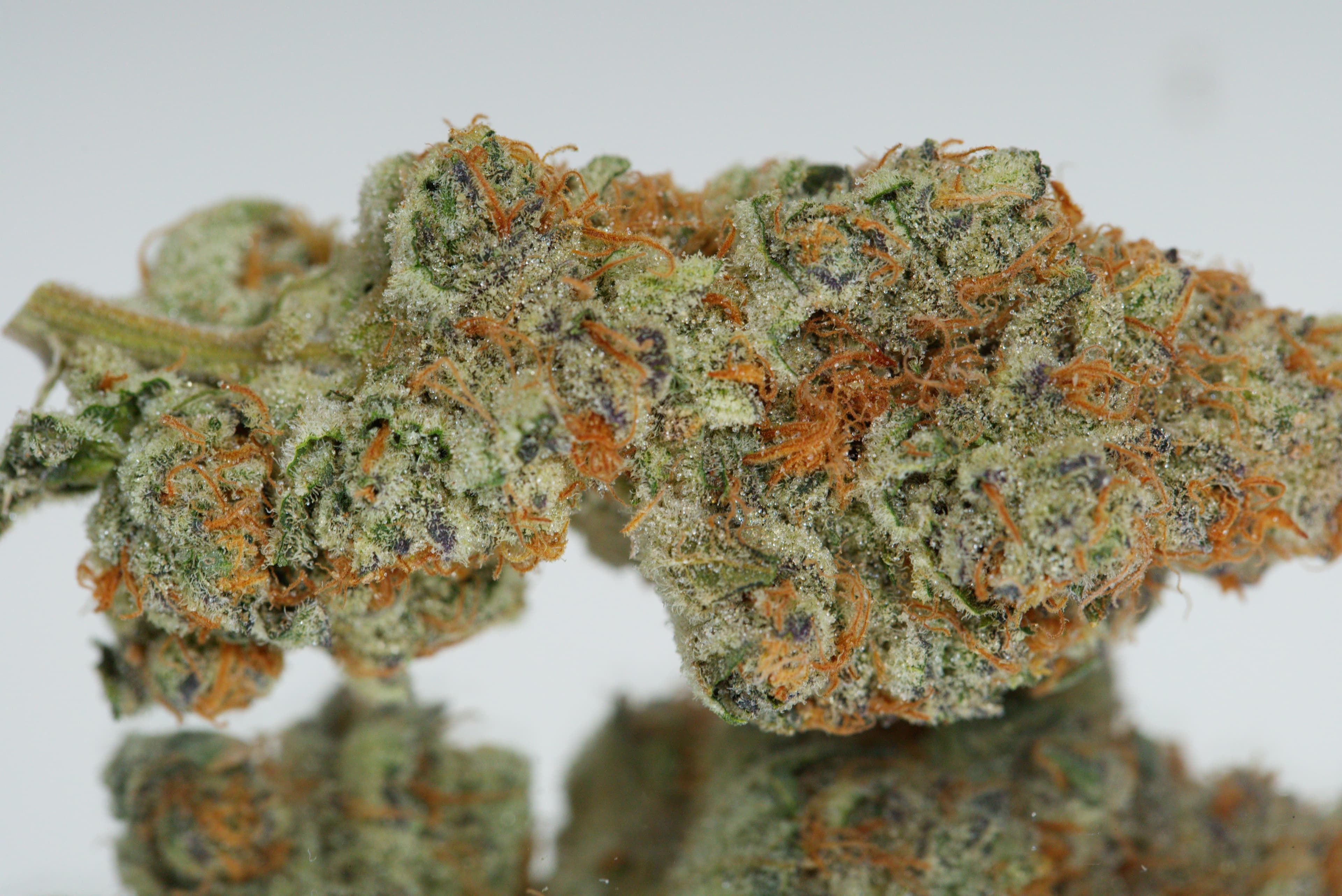 Zkittlez — product photography